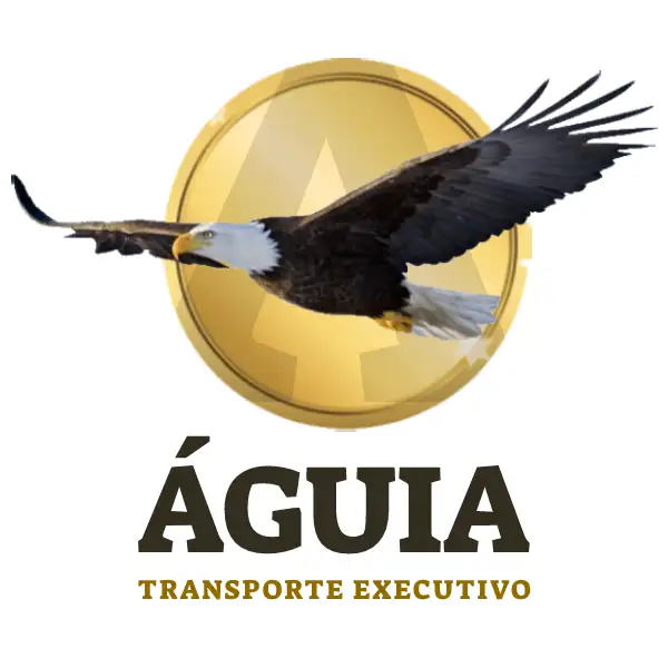 Águia Transporte Executivo